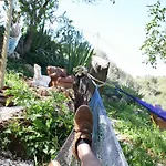 On The Hill *