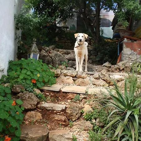 On The Hill Ostello Raposeira (Faro)