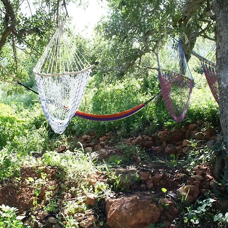 On The Hill Hostel *