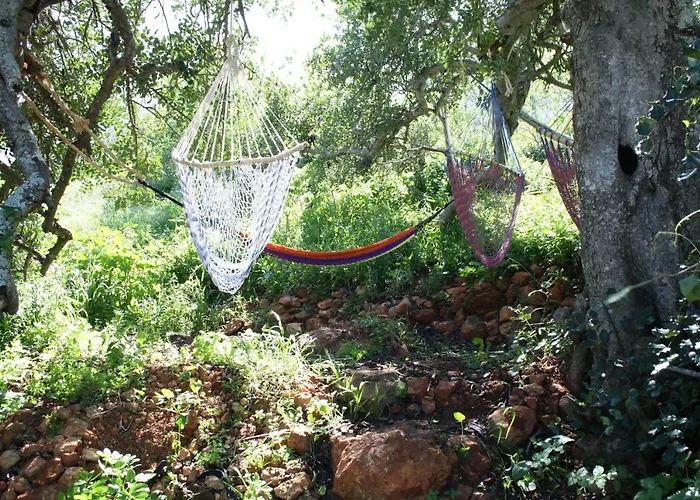 On The Hill Vandrarhem *